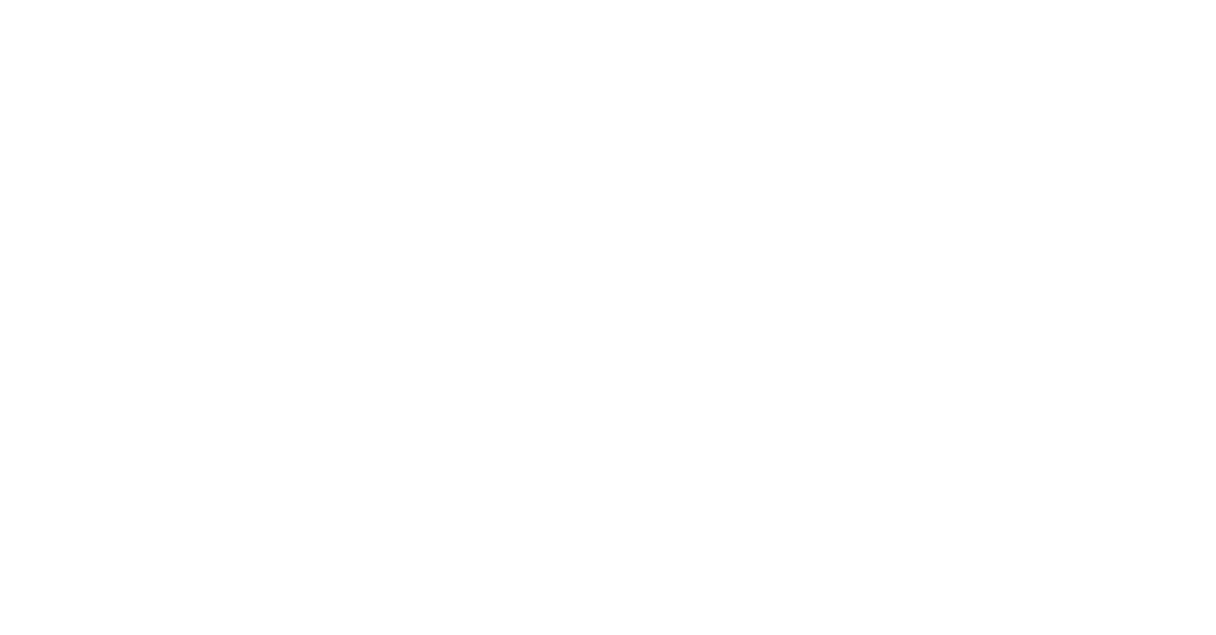Boodle Logo